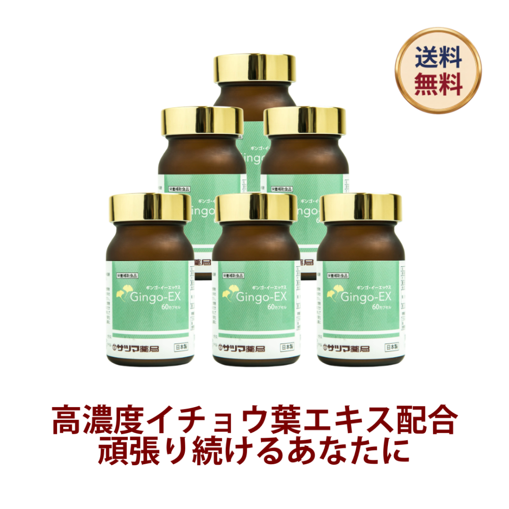 ◎Gingo-EX (ギンゴ イーエックス) 60カプセル×6個セット(ビン)[サツマ薬局]