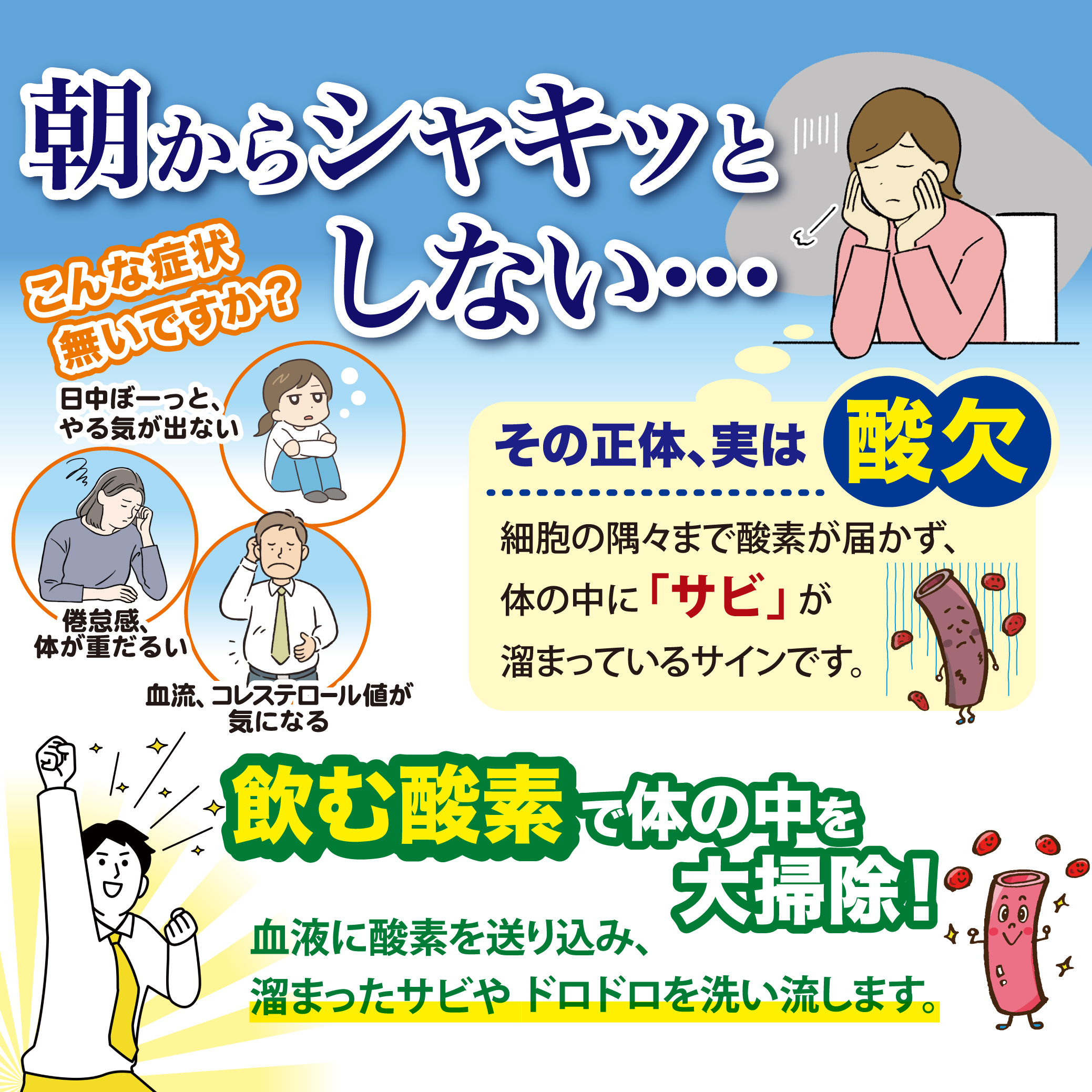 【サメサメパワー】通常9,504円（税込）が4,752円（税込）で購入できる4月DMキャンペーン