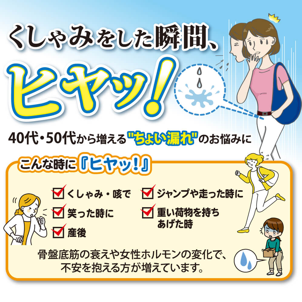 安寿薩摩丸EX 40代・50代女性向け商品紹介