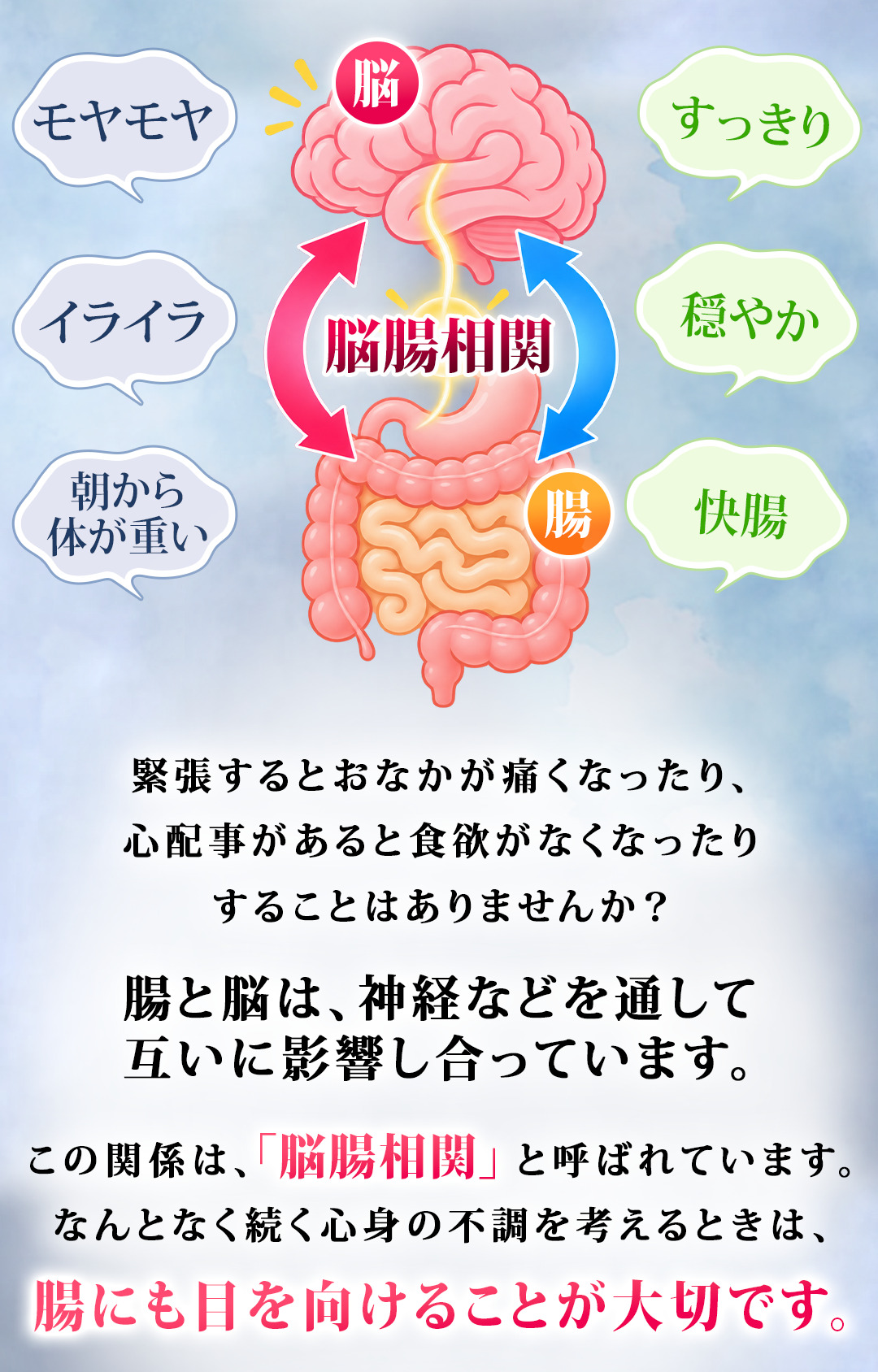腸にも目を向けることが大切です