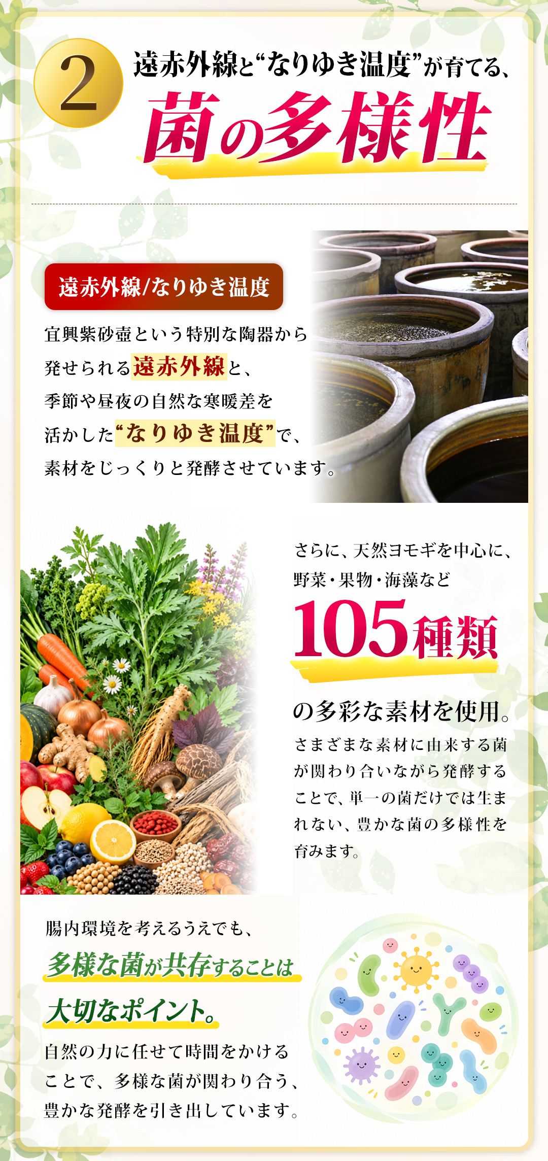 薩摩酵素が他と違う3つのポイント 菌の多様性